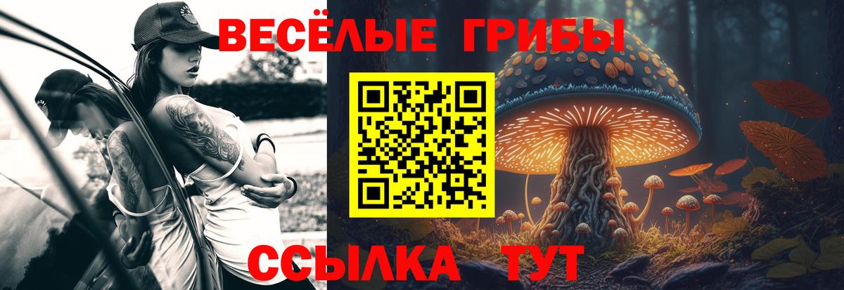 Галлюциногенные грибы Psilocybe Сургут