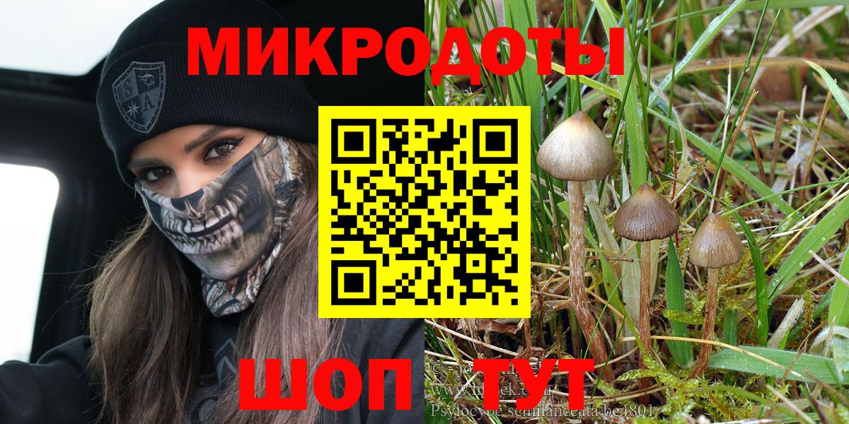 Псилоцибиновые грибы Cubensis  Галлюциногенные грибы Psilocybine cubensis  Вход с VPN  Сургут 